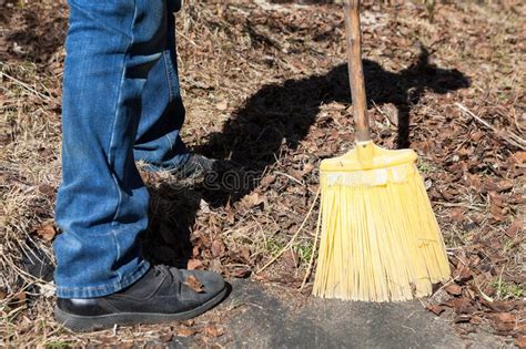 Broom Sweeping Dry Leaves In A Heap In The Garden Stock Photo Image