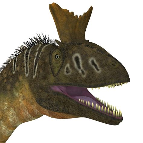 Cryolophosaurus Dinosaur Head Cryolophosaurus Was A Large Theropod