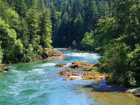Beautiful Flowing Oregon River In The Woods By Cherie Cokeley Redbubble