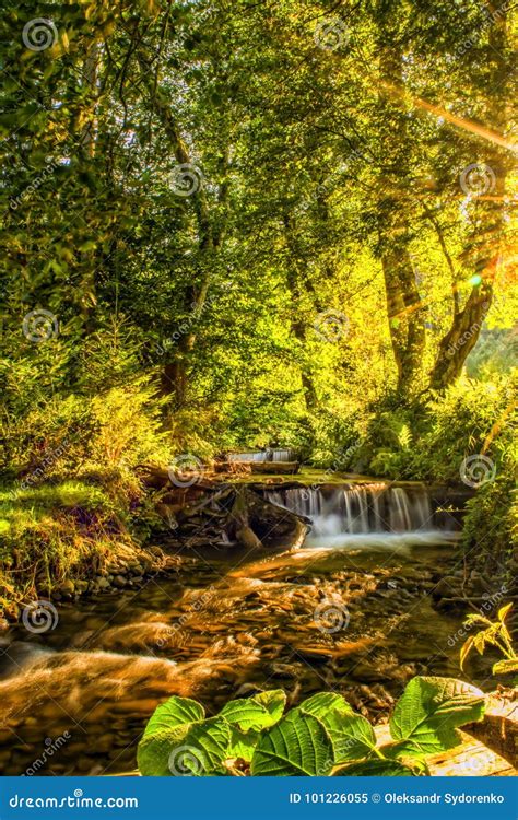 Sunlit River In A Forest Small Natural Waterfall Clear Mountain Water