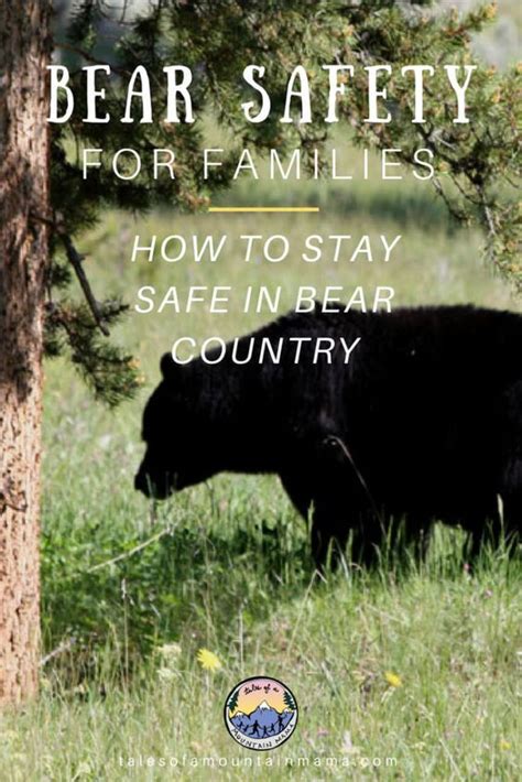 Bear Safety For Families Bear Safety Hiking With Kids Camping Safety