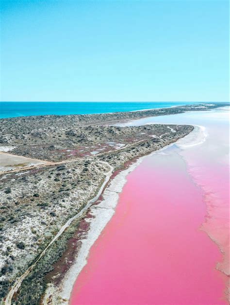 Hutt Lagoon Pink Lake In Western Australia Western Australia Road