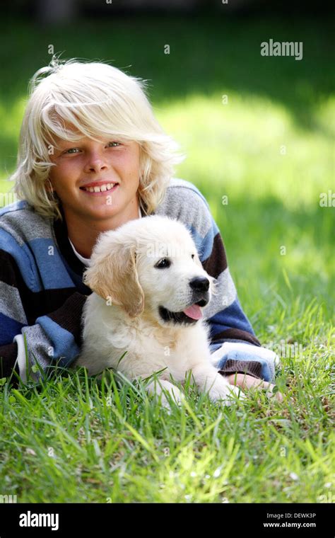 Golden Retriever Puppy Stock Photo Alamy