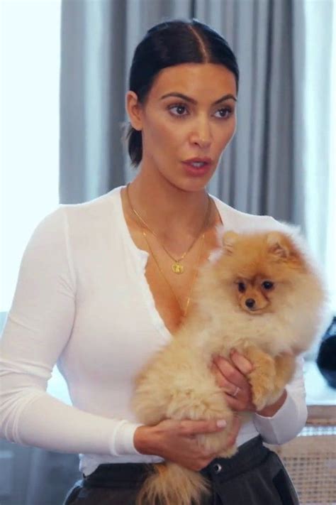 Kim Kardashian Dog Kim Kardashian Is Full Of Puppy Love With Sushi