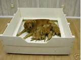 Photos of Whelping Beds For Dogs