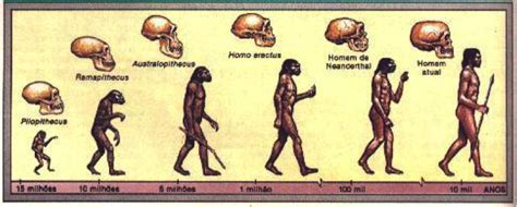 Lugares Da História Evolução Do Homem Ao Longo Do Tempo