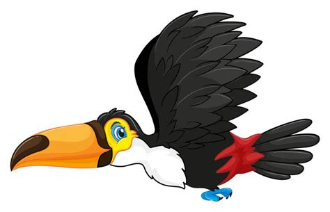 Toucan Volant Art Vectoriel Icônes Et Graphiques à Télécharger