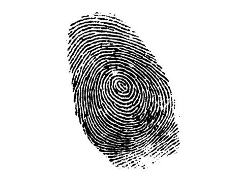 Ptas Directive On Biometric Systems Stays Unimplemented The Express Tribune