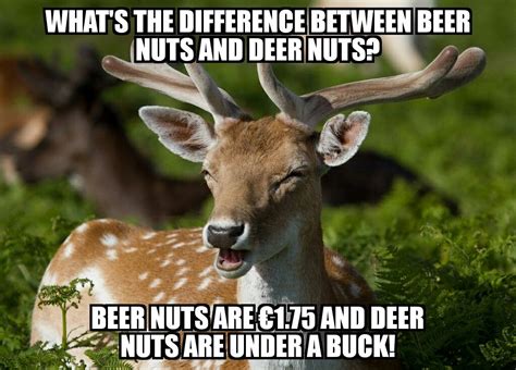 These Puns Are Terribly Deer Puns Deer Laugh