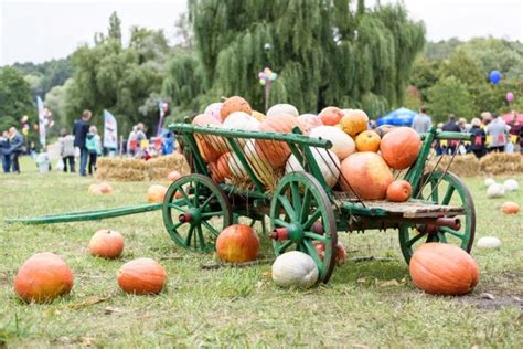 Your Guide To The Best Central Ohio Fall Festivals