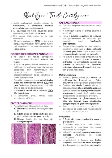 Mapas Mentais Sobre Tecido Cartilaginoso Study Maps