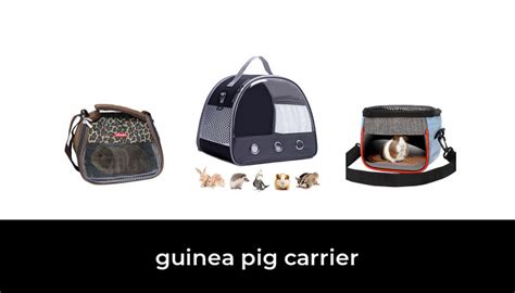 47 Best Guinea Pig Carrier 2022 After 161 Hours Of Research And Testing