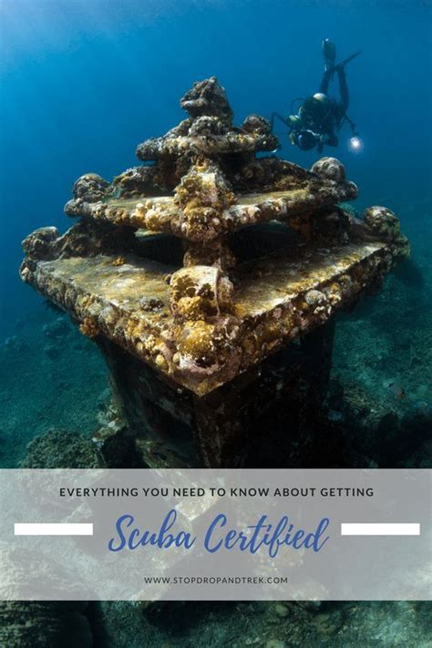 Maui scuba schools diving schools, certification process, & rentals. Interested in what's underneath the water? Get scuba ...