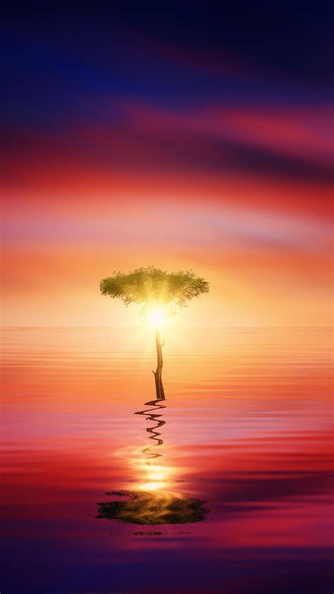 1080x1920 1080x1920 Sunset Ocean Tree Sun Nature Hd For Iphone 6