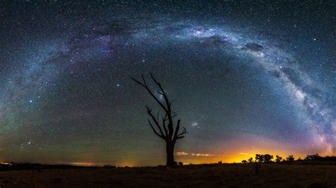 Starry Night Night Stars Landscape Milky Way Trees Dead Trees