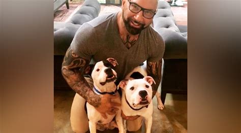 Dave Bautista Just Adopted Two Adorable New Dogs Muscle And Fitness