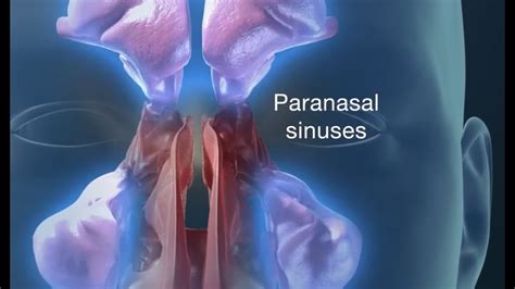 Endoscopic Sinus Surgery For Pain Drainage Infections And Impaired