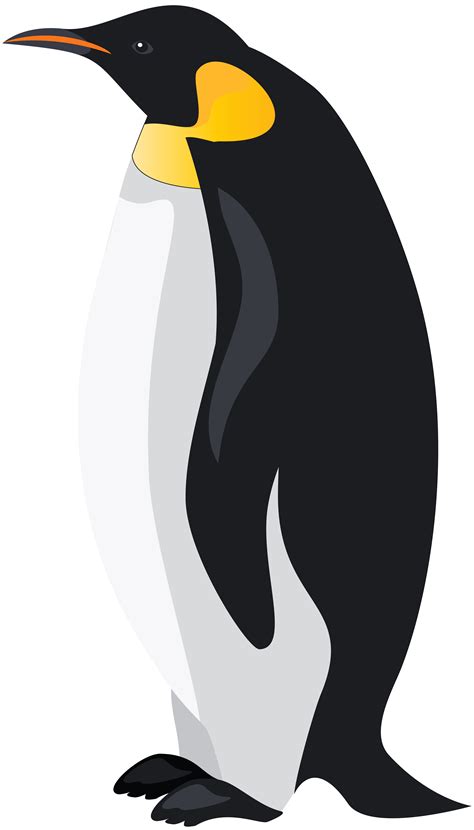 King Penguin Bird Emperor Penguin Clip Art Penguins Png Download Free