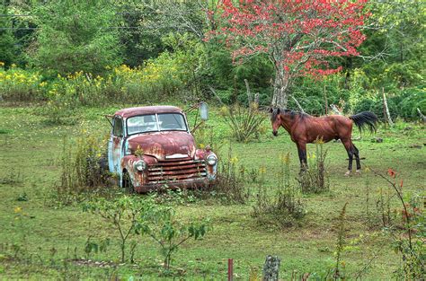 Pick Your Ride Photograph By Blaine Owens Fine Art America