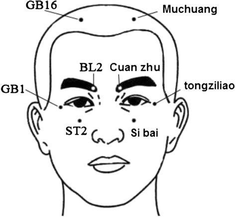 location of facial acupoints four points are used for adolescents in download scientific