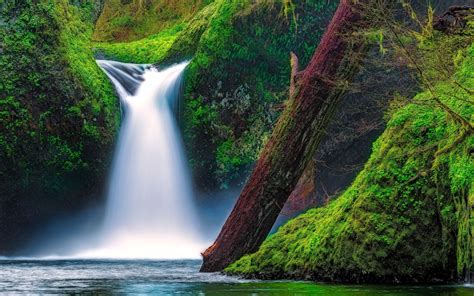Обои Punch Bowl Falls Eagle Creek Columbia River Gorge Oregon