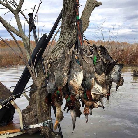 Waterfowl Hunt Ar Trips4trade