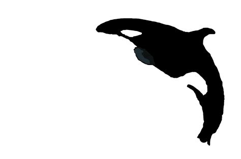Canidae Dog Marine Mammal Silhouette Clip Art Killer Whale Png