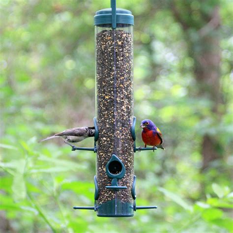 Perky-Pet Garden Song 480 Classic Bird Feeder: Amazon.ca: Patio, Lawn