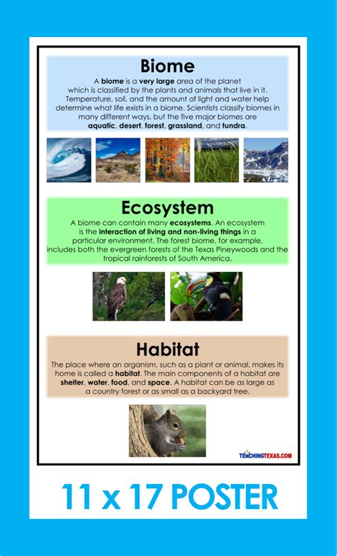 Ecosystem Environment Biome Andriyan Yuda