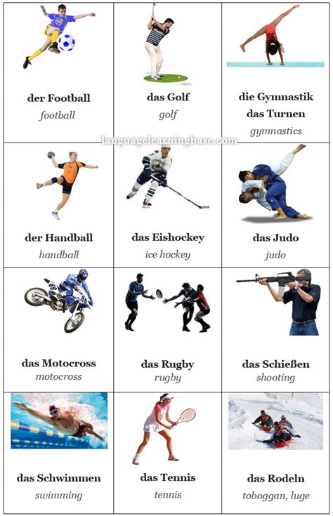 German Sports Flashcards Learn Germanflashcardsgermanvocabularysports
