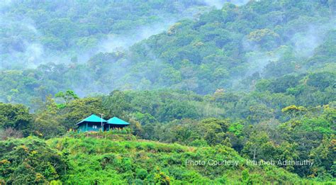 Pampadum Shola National Park Kerala Attractions Pampadum Shola
