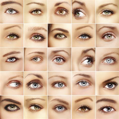 Types Of Eyes