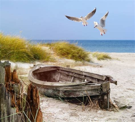 Oude Vissersboot Meeuwen Strand En Zee Op Fotobehang Fotobehang