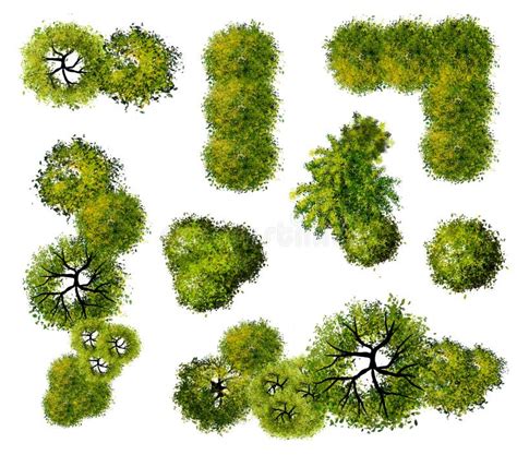 Abstract Green Tree Top View Stock Illustration Illustration Of