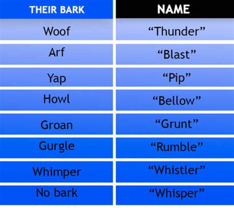 unique puppy names dogica mythology chinese greek japanese mutt dog puppy names