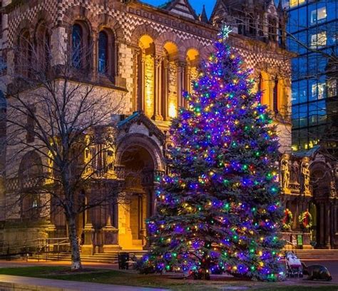 Where To See Holiday Lights In Boston Graduate Medical Sciences