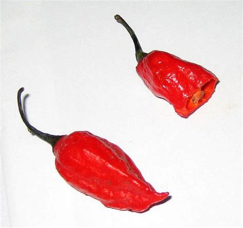 How The Scoville Scale Measures A Peppers Heat Stuffed Peppers
