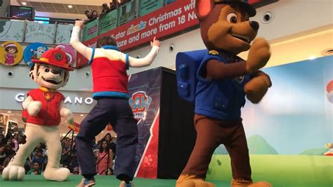 Paw Patrol Meet And Greet With Ryder Marshall Chase At Paw Patrol