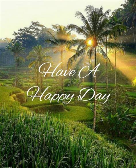 Have A Happy Day - DesiComments.com