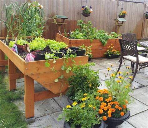 166 Best Images About Container Gardening On Pinterest