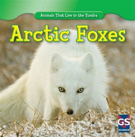 Arctic Foxes Animals That Live In The Tundra By Maeve T Sisk Pet