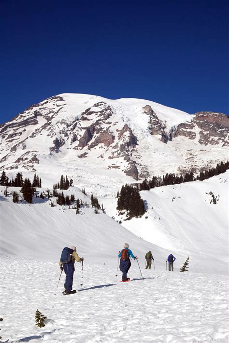 Winter In Mount Rainier National Park Outdoor Project