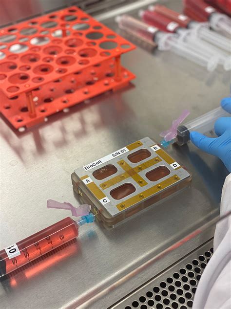 Tissue Chip Investigations To Launch To The Iss