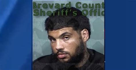 Armed Florida Man Allegedly Tried To Sexually Assault A Woman But