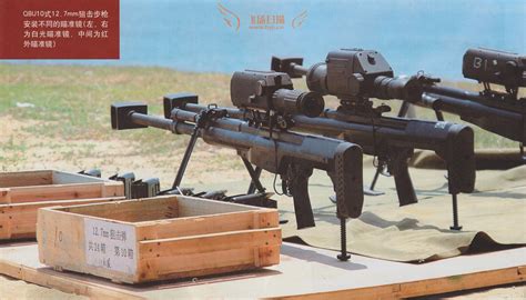 Qbu 10 Sniper Rifle