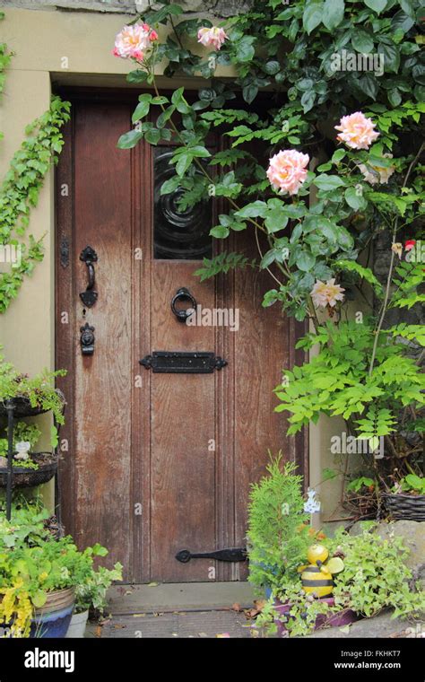 Cottage Roses Around The Door Hi Res Stock Photography And Images Alamy