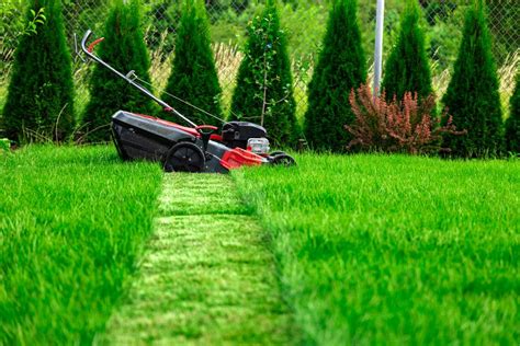 How To Cut The Grass 7 Top Tips For Lawn Care And When You Should Mow It The Scotsman