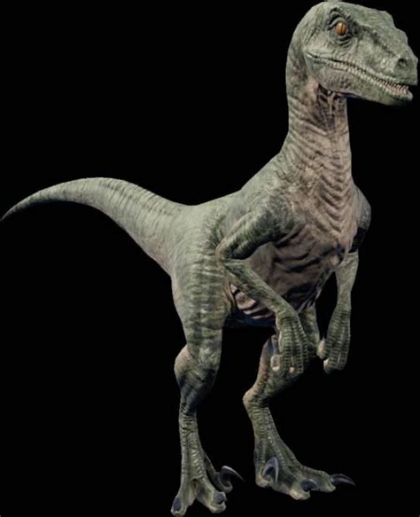 Jurassic World Evolution Velociraptor By Jurassiczillafilms On Deviantart