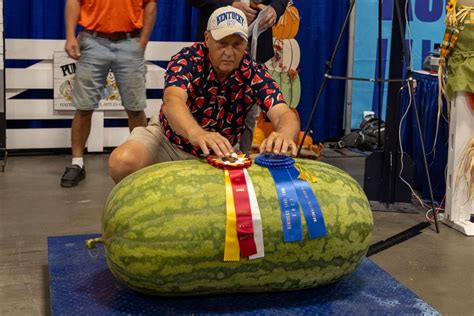 Biggest Pumpkin Watermelon Grown In Kentucky Crowned At State Fair