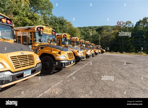 Classic American Yellow School Buses America Stock Photo Alamy